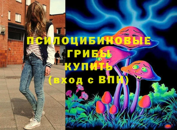 гашиш Новозыбков