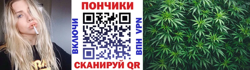 Шишки марихуана индика Ивдель